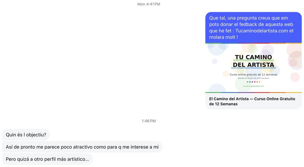 Captura de conversación en Instagram con una empresaria que cuestiona el atractivo del curso El Camino del Artista